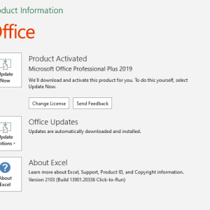 Microsoft Office 2019 Professional Plus - Product Information Tab