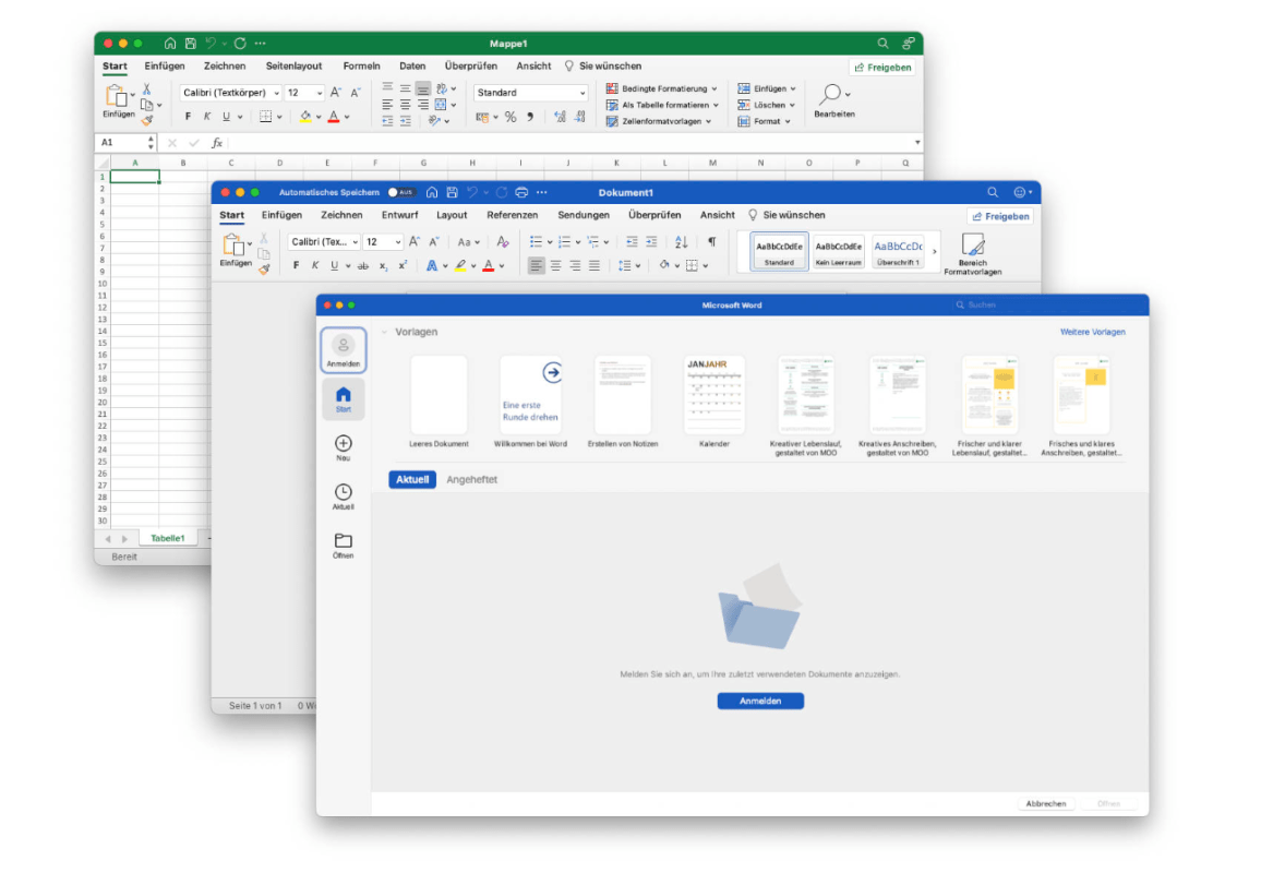 Office Home and Business 2019 Word Excel Interface on Mac