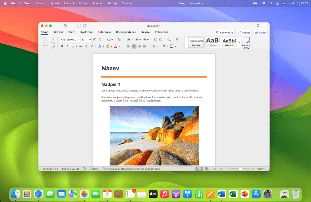 Office Home and Business 2019 Word Interface on Mac