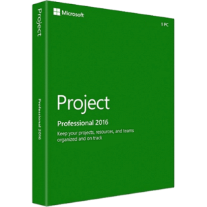 Project 2016 Professional License