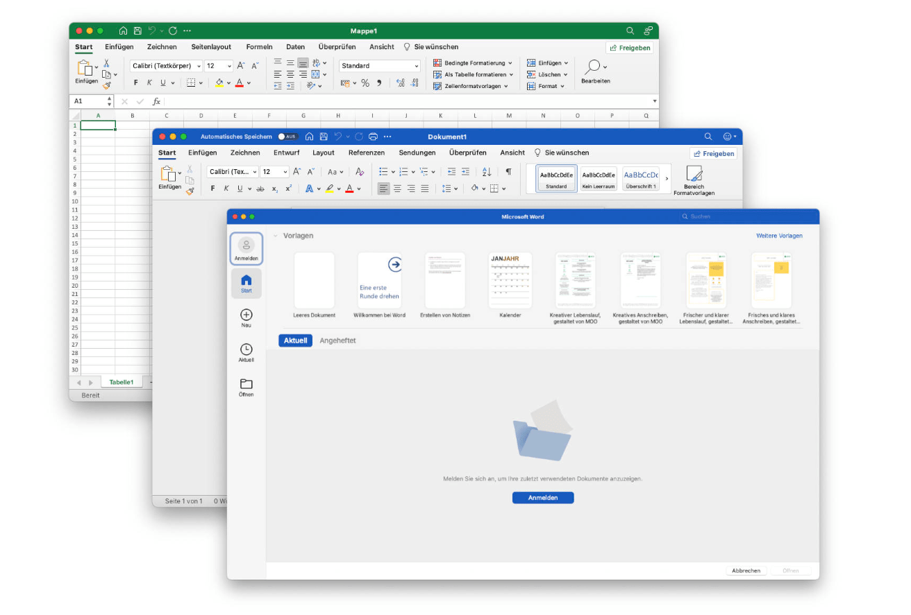 Office 2021 Home and Business Word Excel PowerPoint