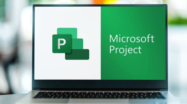 Project 2021 Professional - Intro Image