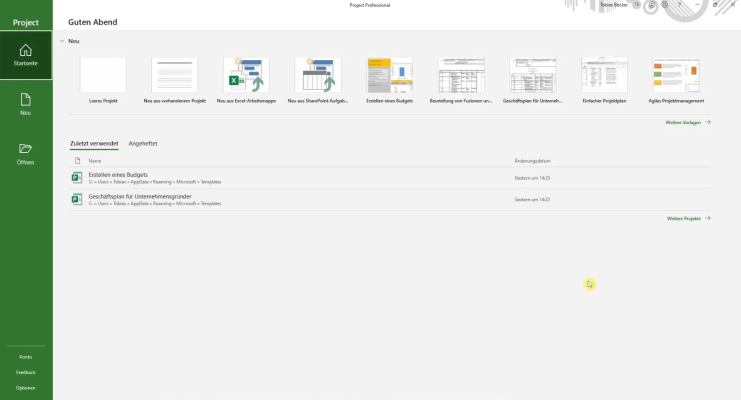 Project 2021 Professional - Menu Interface Example