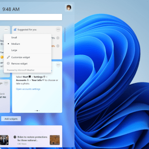 Windows 11 Home - Streamlined App Store and Built-In Communication Tools