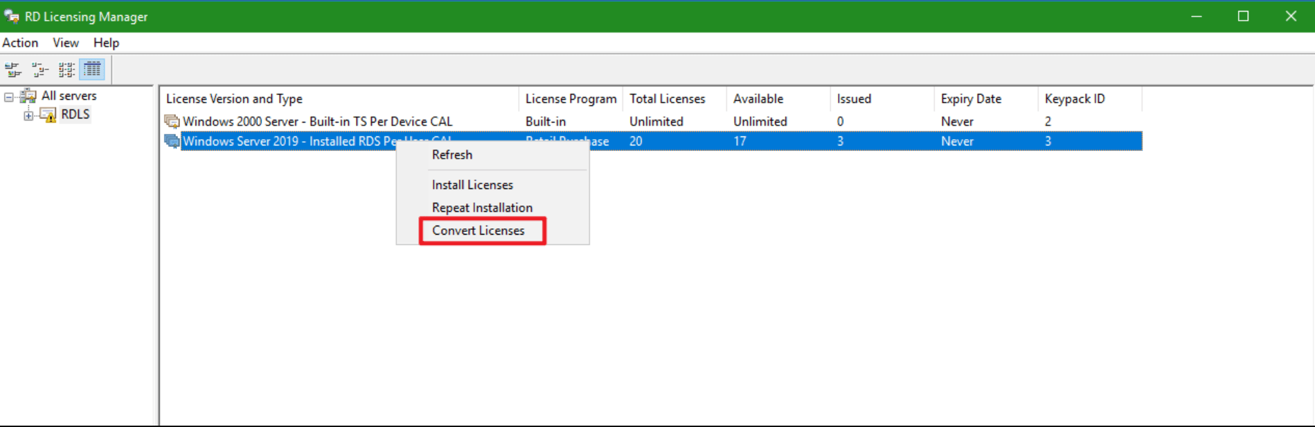 Remote Desktop Licensing Manager in Windows Server 2019