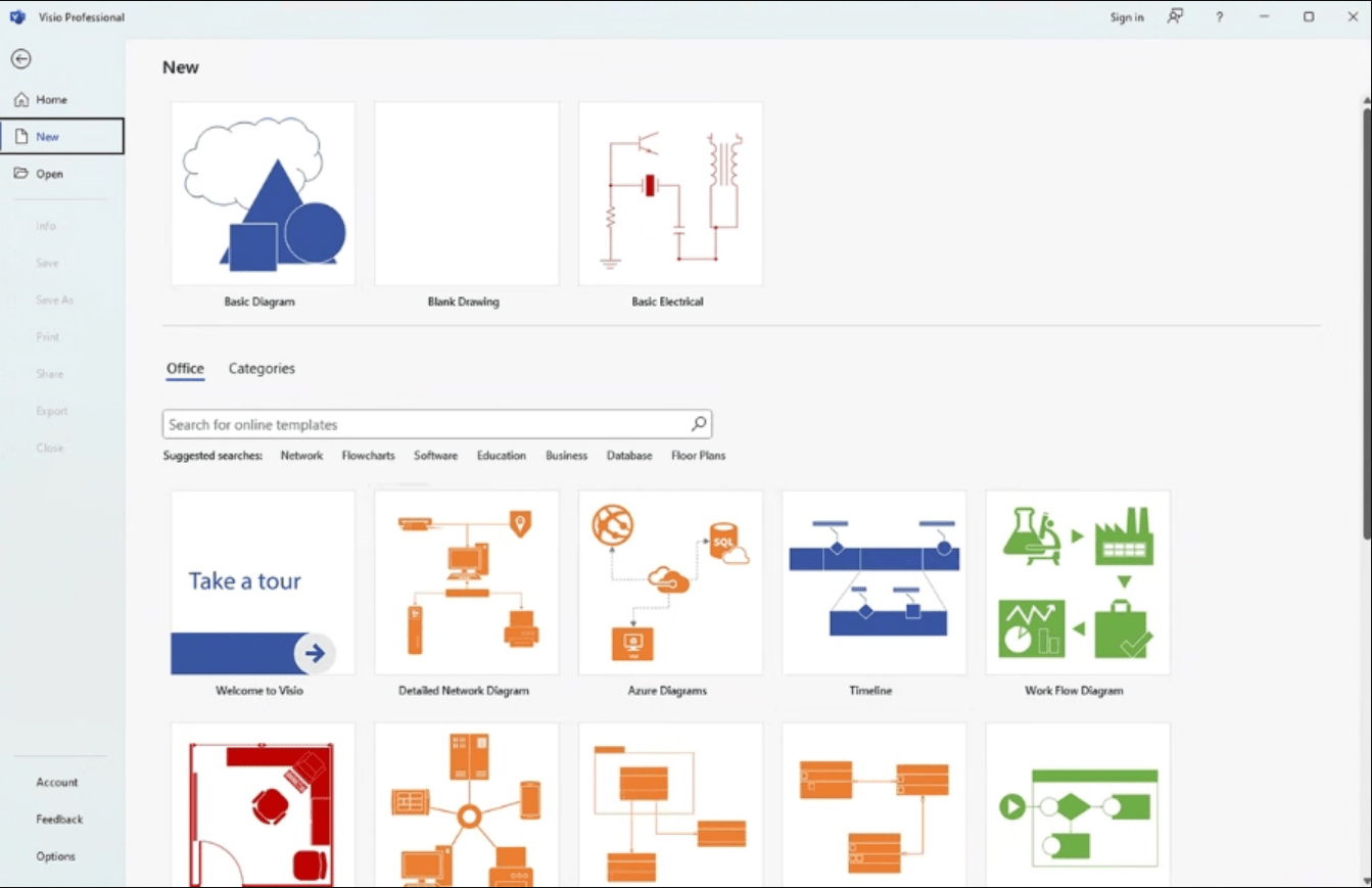 Visio 2024 Professional Interface Example