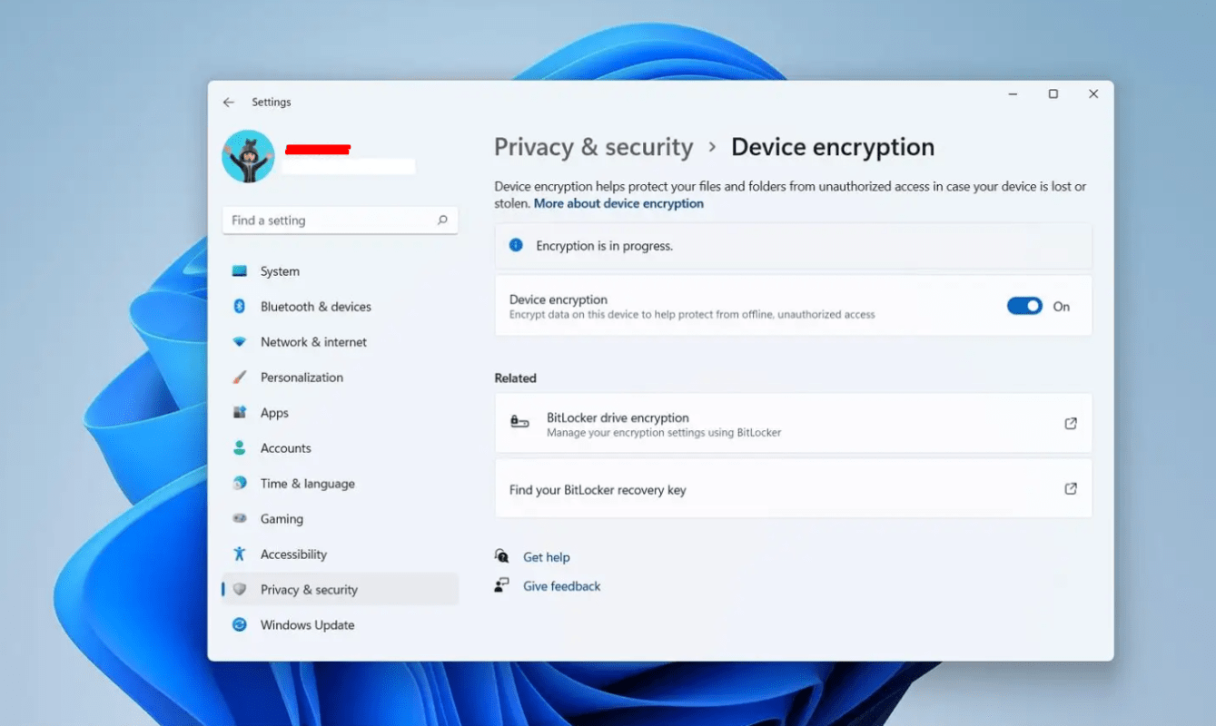 BitLocker encryption settings in Windows 11 Pro
