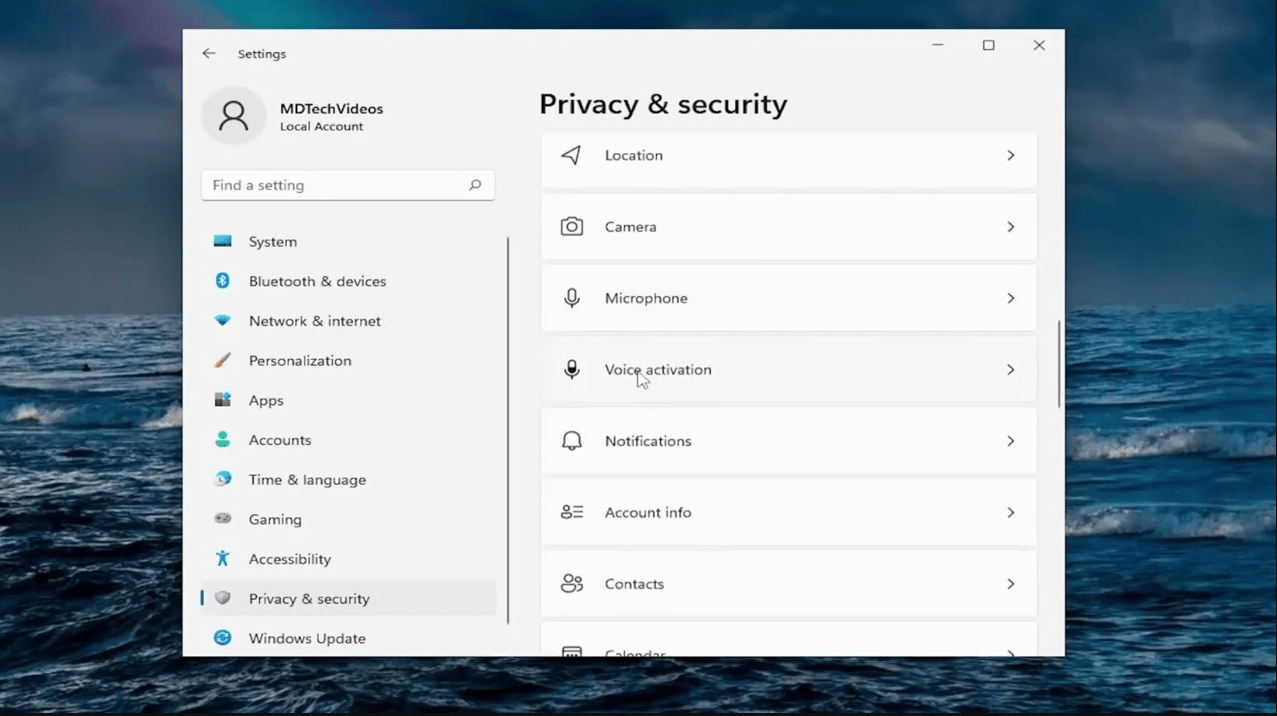 Windows 11 Privacy Settings