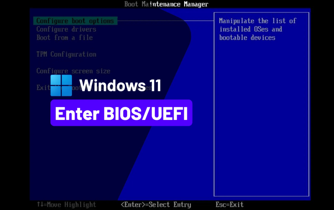 Bios in Windows 11