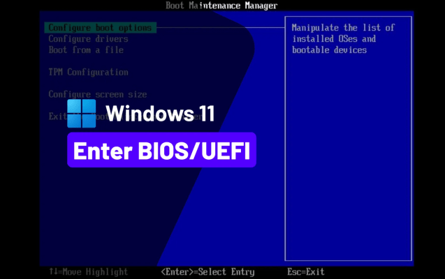 Bios in Windows 11