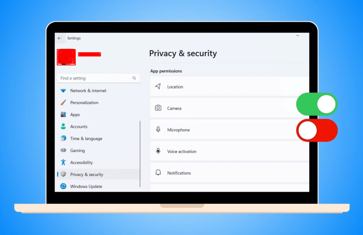 Windows 11 Privacy Settings