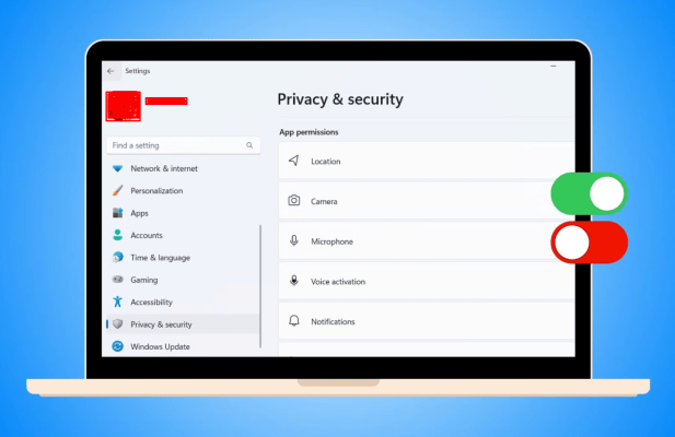 Windows 11 Privacy Settings