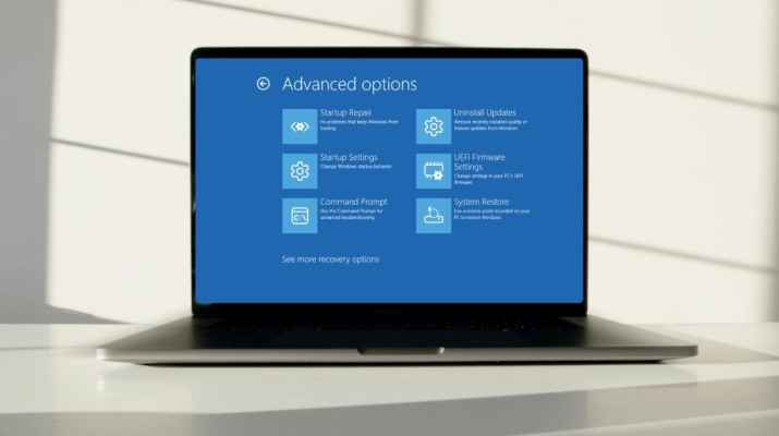 Windows 11 recovery options