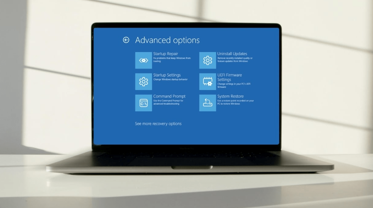 Windows 11 recovery options