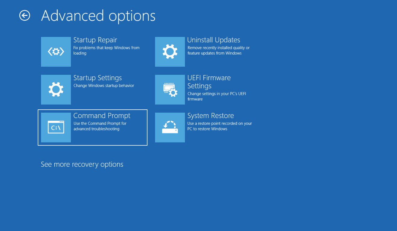 Windows Advanced Startup settings screen