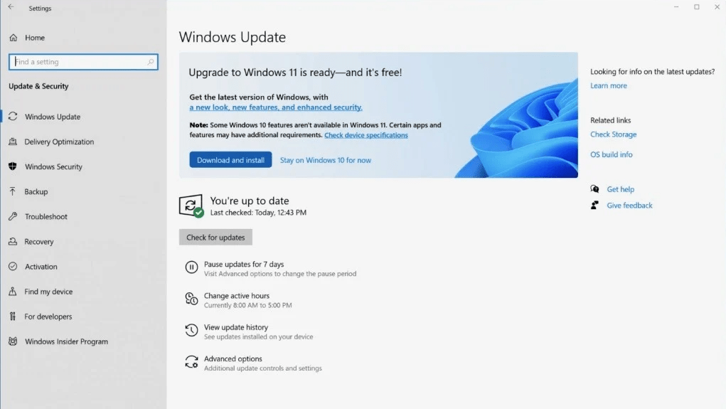 Windows Update showing Windows 11 upgrade option