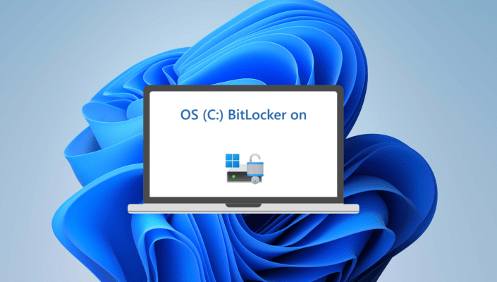 Can you use BitLocker without Windows 11 Pro