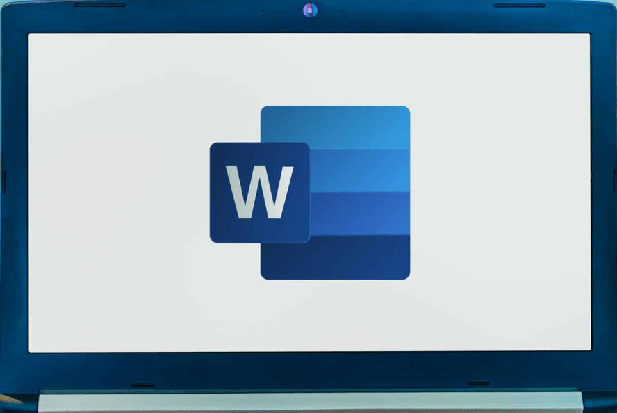 Microsoft Word features