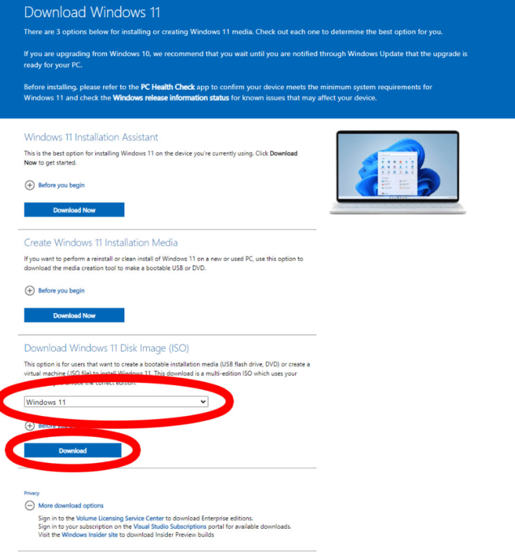 Windows 11 Disk Image ISO download option on Microsoft website