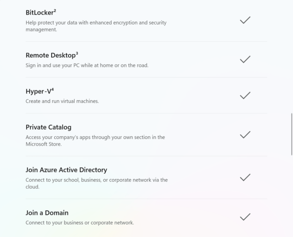 Windows 11 Pro features for business users