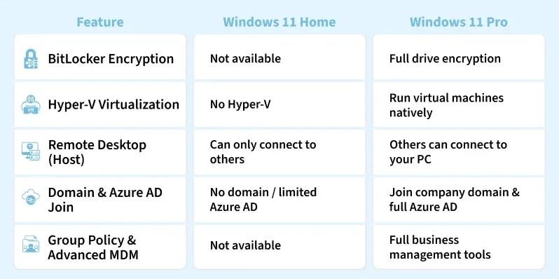 Windows 11 Pro features for work and security