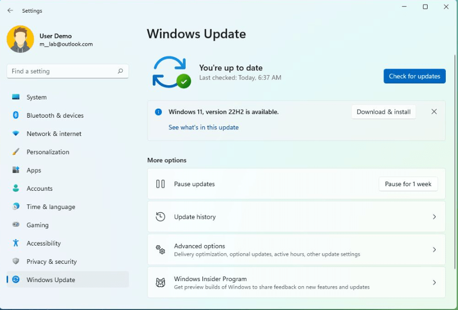 Normal Windows 11 Updates